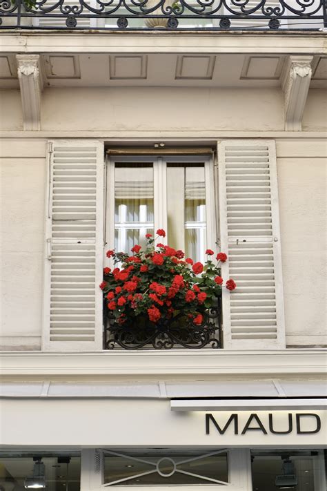 parisian window boxes